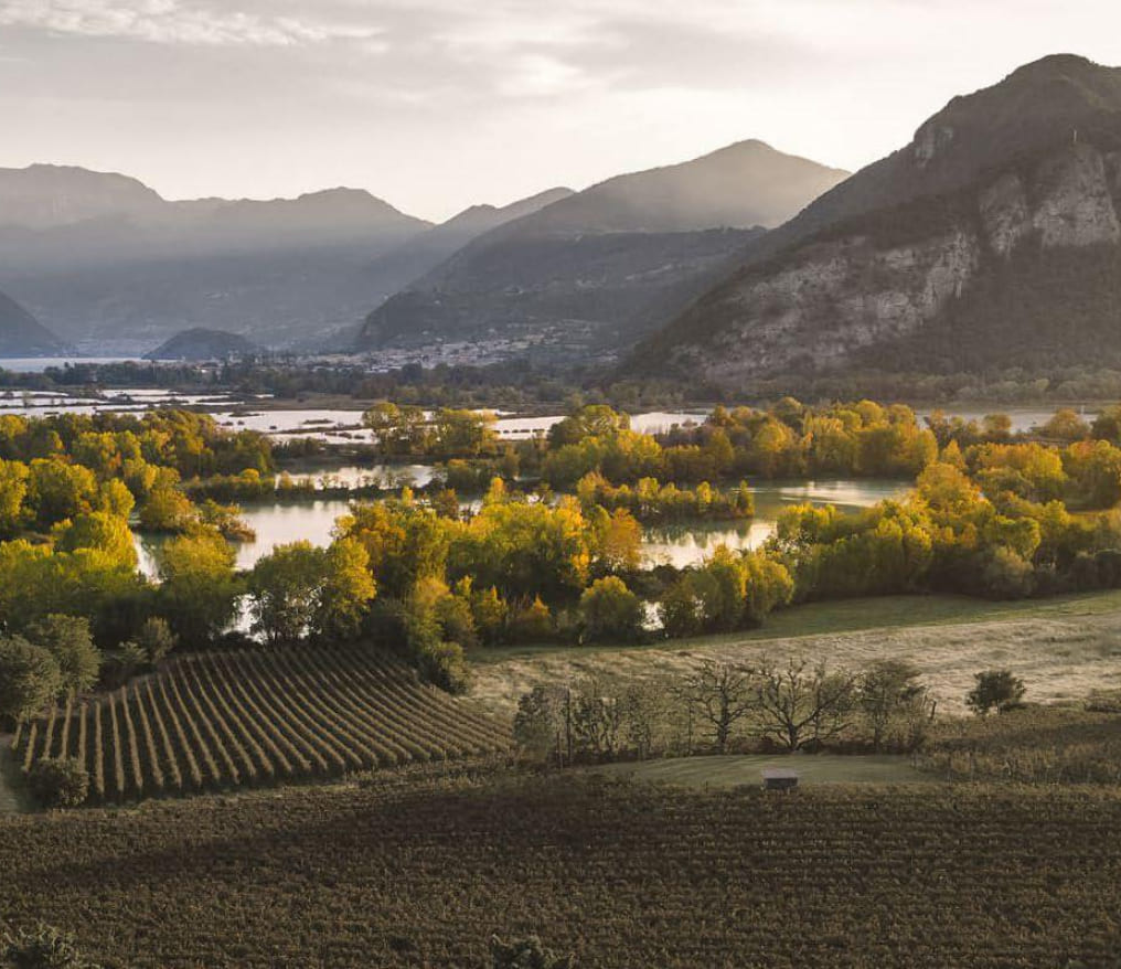 tenuta centinari